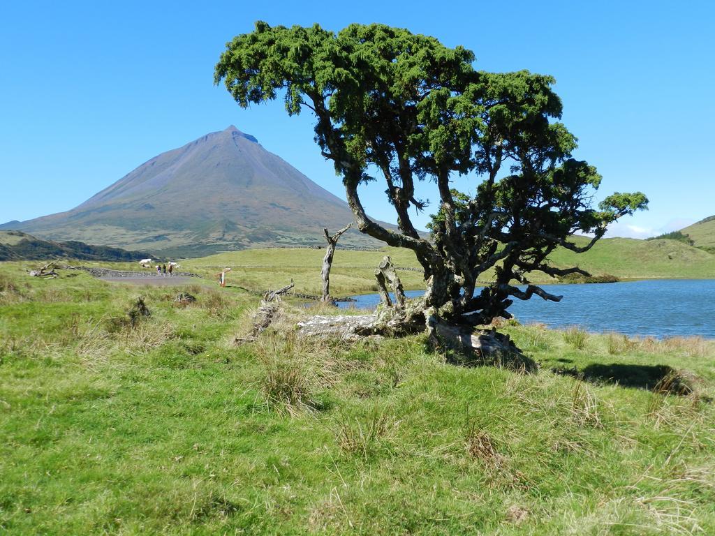 Вілла Adega Velha Calheta de Nesquim Екстер'єр фото